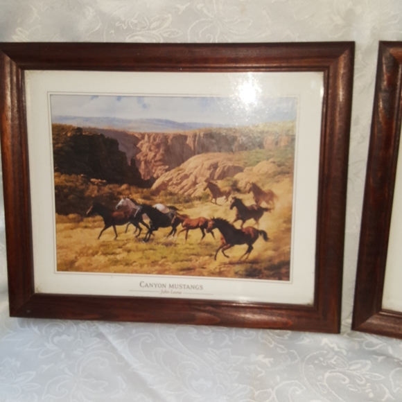 John Leone - Canyon Mustangs & Mare and Foals - Picture 3 of 5